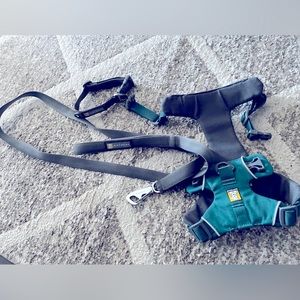 Dog harness with leash and collar